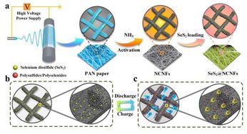 中科大余彦教授 静电纺氮掺杂自支撑碳纳米纤维包覆SeS2构建高性能K S